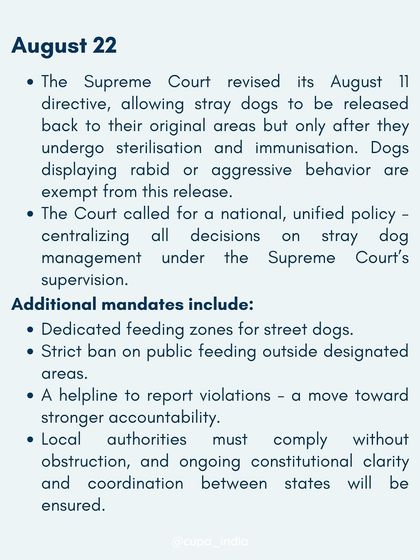 Cupa - Animal Cruelty Legal Aid & Advocacy Our Legal Fight for Animals photo 21