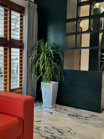A Dracaena plant in a simple white pot stands next to a bold red sofa. This shows how a well-placed plant can balance strong colors and add a natural element to a modern living room.
