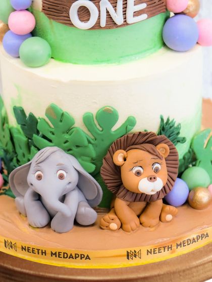 Neeth Medappa - Custom Celebration Cakes Magical Adventures for Little Ones photo 69
