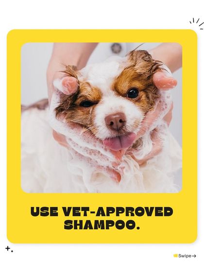 Pet Warehouse - Pet Grooming Services Pet Care Tips & Special Offers photo 7