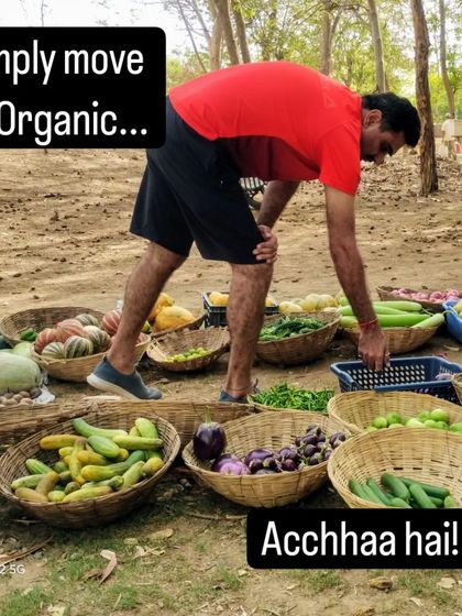 A customer selecting vegetables from a ground display, showing the simple, direct-from-farm setup.