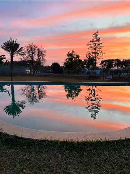 The Pawsome Camp - Dog Daycare & Boarding Splash Zone: Our Pooch Pool photo 27