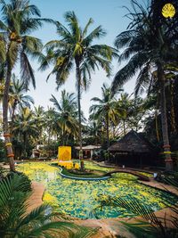 Resort Stays & Getaways