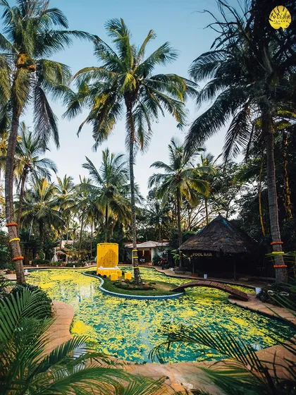 Imagine your celebration by our tropical, resort-style pool, surrounded by palm trees and lush greenery. We decorate the space to match your theme, creating a vibrant, vacation-like atmosphere for you and your guests.