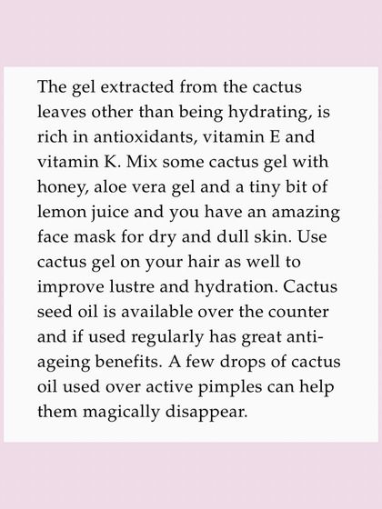 This is a duplicate of my quote in Lifestyle Asia about the benefits of cactus gel and oil.