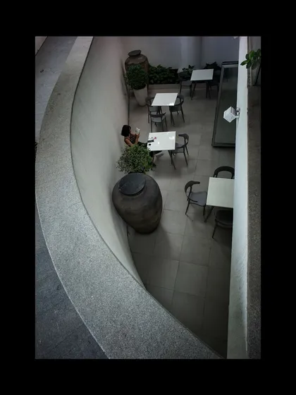 A view from above into a curved courtyard at the Museum of Art and Photography (MAP). These carved-out spaces bring light and greenery into the building's core, creating quiet moments of pause for visitors.