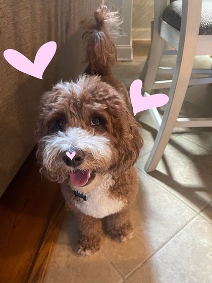 Vaishnavi Patel - Custom Photo & Video Art Just for Fun: My Life in Doodles photo 52