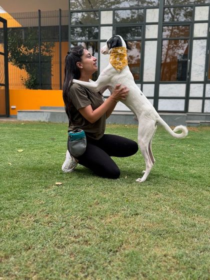 A happy hug from Tintin. His playful energy brightens up the center.