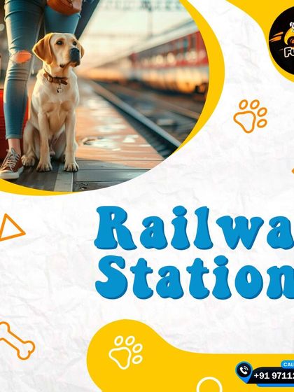 I also provide pet transport to and from railway stations, making your travel plans with your pet much easier.