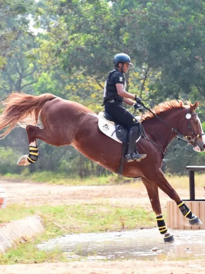 A rider from my school soars over a cross-country jump during the FEI World Eventing Challenge, where our team achieved incredible world rankings.