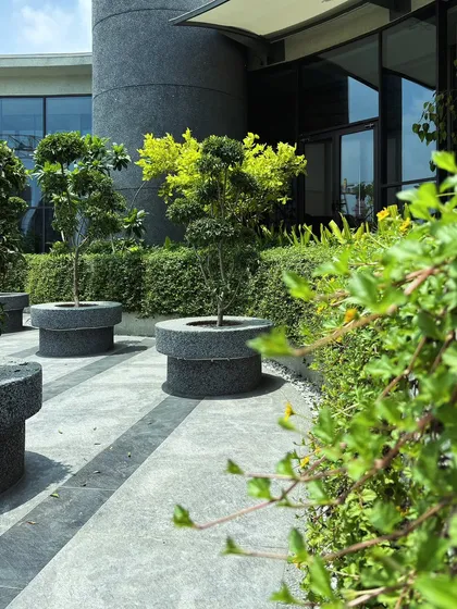 Topiary trees in custom planters add a touch of formality to this corporate landscape, contrasting with the looser, more naturalistic planting in the background.