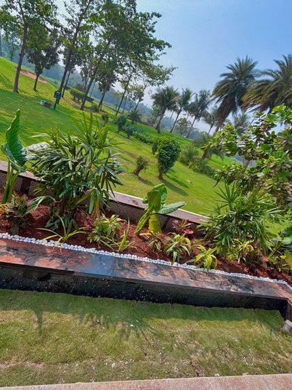 A mix of tropical plants like Alocasia and other foliage creates a lush, jungle-like feel in the planters overlooking the golf course.