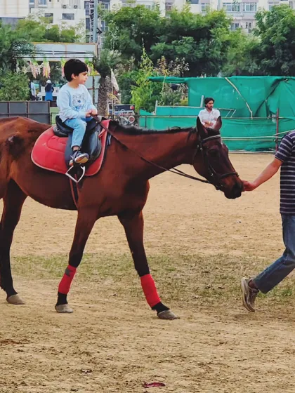 A young boy gets a feel for riding as a trainer leads his horse around the arena. These guided sessions are an excellent way to build confidence in new riders.