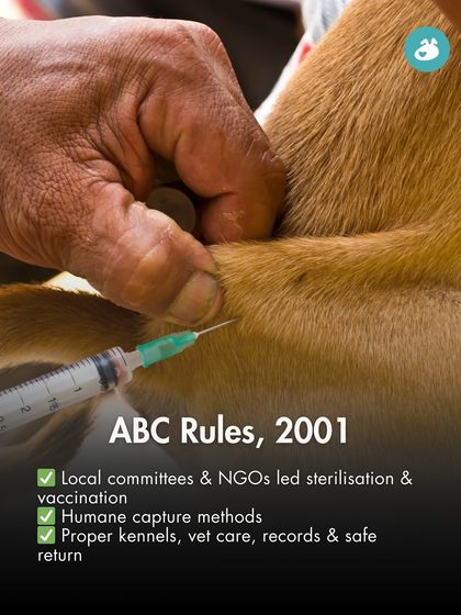 The Pack - Pet Parent Education & Workshops Awaara Nahi, Humara Hai: Community Dog Advocacy photo 27