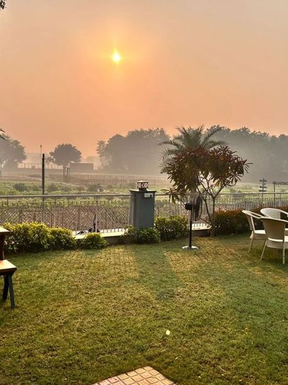 The beautiful, serene location for one of our trail runs, complete with palm trees and a misty sunrise.