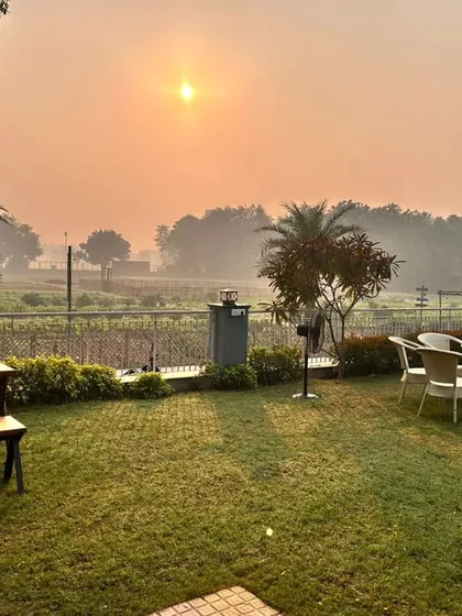 The beautiful, serene location for one of our trail runs, complete with palm trees and a misty sunrise.