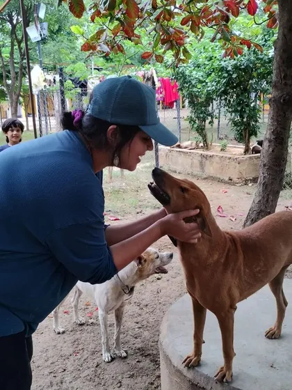 A quiet moment of connection between a supporter and one of our dogs. Every animal here is an individual with a unique personality.