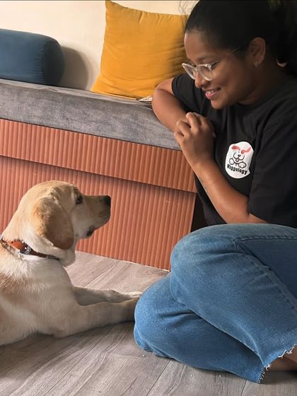 Here I am with Simba, a smart Labrador puppy, working on the 'watch me' command. Building focus early on is so important. You can see the concentration and connection in his eyes, even at a young age.