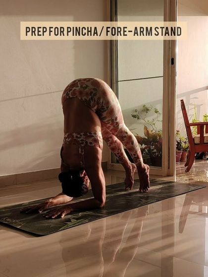 This Dolphin Pose is an excellent preparation for Pincha Mayurasana (Forearm Stand). It builds strength in the shoulders, back, and core while also stretching the hamstrings. It's a multi-purpose pose that is great for any core routine.