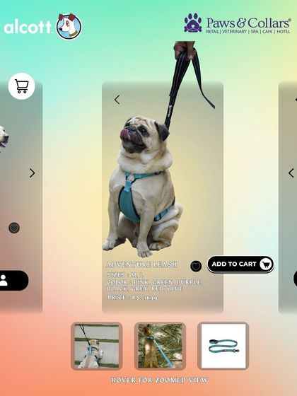 PawsnCollars - Pet Supplies Adventure & Walking Gear photo 8