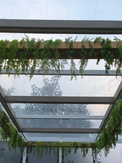 A shot looking straight up through the pergola, showing the pattern of beams and greenery.