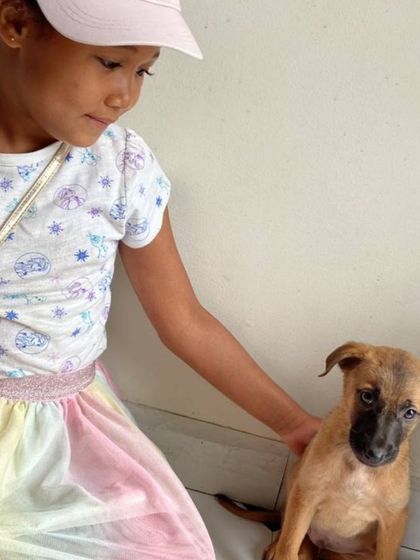 A young girl gently pets a small, shy puppy during our Reading with Pups event, a moment of quiet connection.