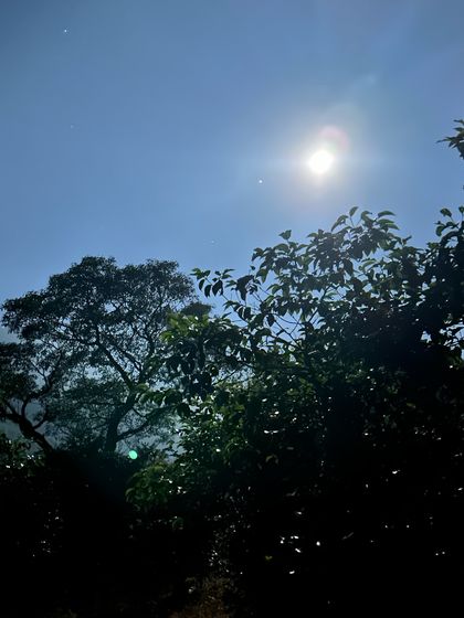 Weekend & Beginner Hikes photo 20