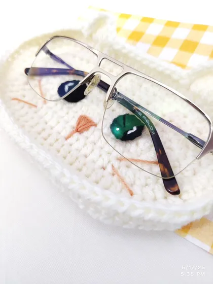 A close-up, angled shot of the glasses resting on the cat dish.