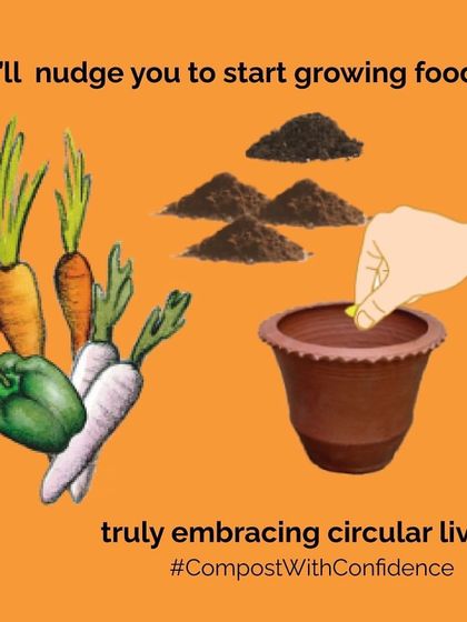 Making your own compost might just be the nudge you need to start growing your own food. Using your 'black gold' to grow your own vegetables and herbs is the ultimate way to embrace circular living.