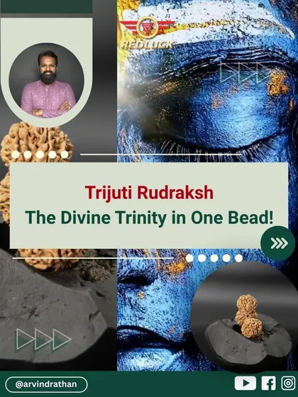 This is the Trijuti Rudraksha, a rare and powerful bead where three Rudrakshas are naturally joined. It represents the divine trinity of Brahma, Vishnu, and Shiva. I recommend such specific remedies only after a deep analysis of your energy map to enhance leadership, intuition, and focus.
