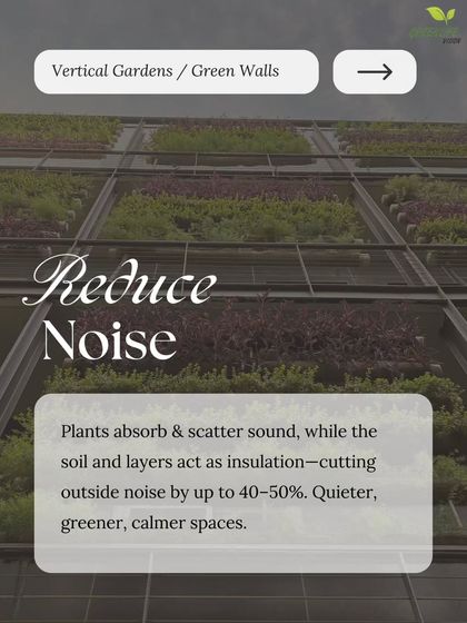 The Benefits of Green Walls photo 4