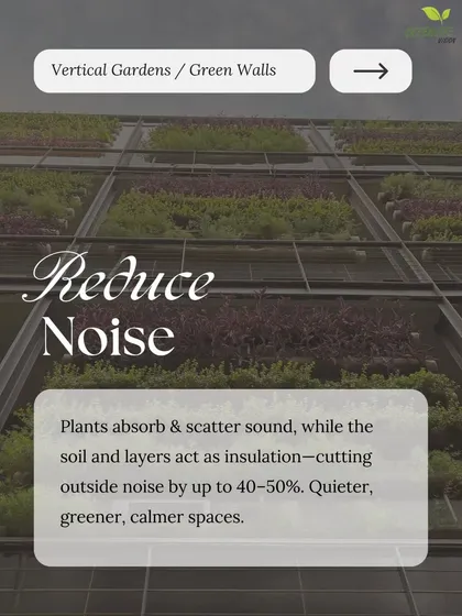 Enjoy quieter, calmer spaces. The layers of plants and soil in our living walls absorb and scatter sound, cutting outside noise by up to 50%.