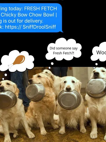 This is the scene in many homes when the "Fresh Fetch is out for delivery" text arrives. Bowls at the ready.
