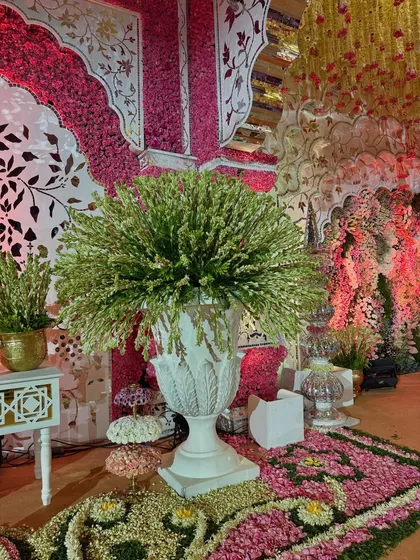 An enchanting symphony of blooms and traditional grandeur. A large white urn with lush greens stands beside a floral rangoli, adding a touch of classic elegance to the vibrant setting. 🌸❤️
