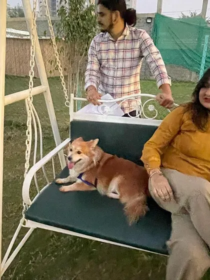 We are a place for pet parents too. Come relax on our swings and enjoy our beautiful park while your dog has the time of their life making new friends.