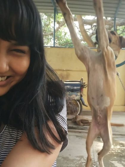 Another playful photo from my time with Puppy. His resilience is a testament to the spirit of Indie dogs.