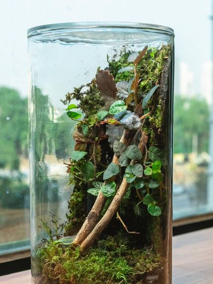 Creative Vessels: Teapots, Jars & More photo 38