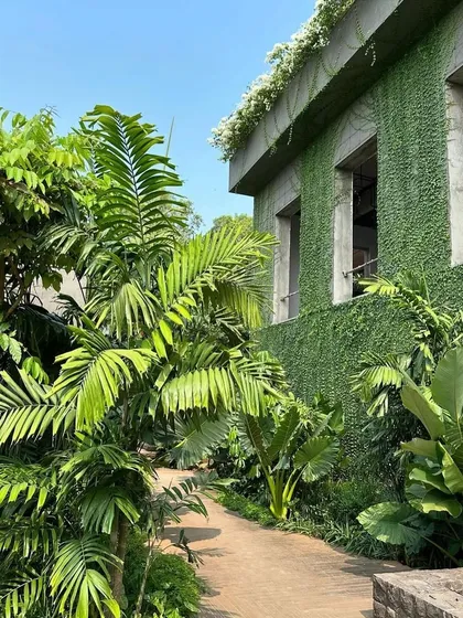 A wall of green envelops one of our Alibaug villas. We often use climbing plants and rooftop gardens to help our buildings merge with their landscapes, creating a living, breathing architecture.