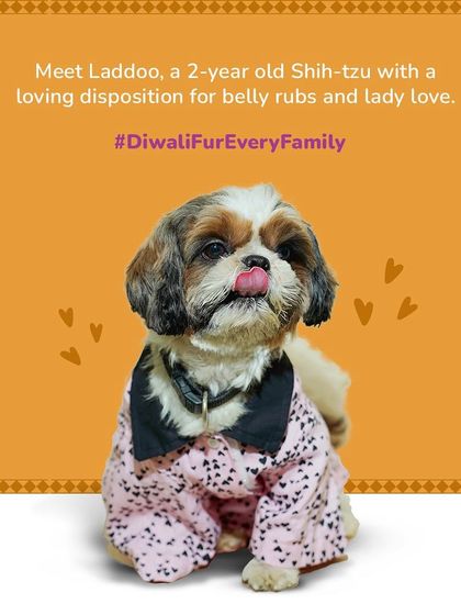 Zigly - Pet Supplies From Our Community: Happy Pets & Parents photo 54