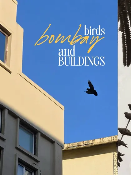 A collage titled 'Bombay Birds and Buildings', playing with the silhouettes of birds against the sky and architecture.