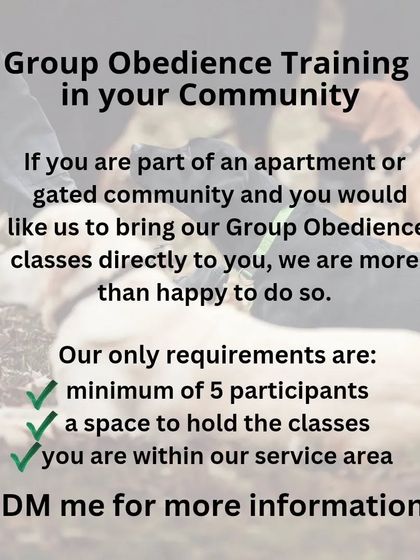 Gourav Vartalur - Dog Obedience Training Group Obedience Classes photo 16