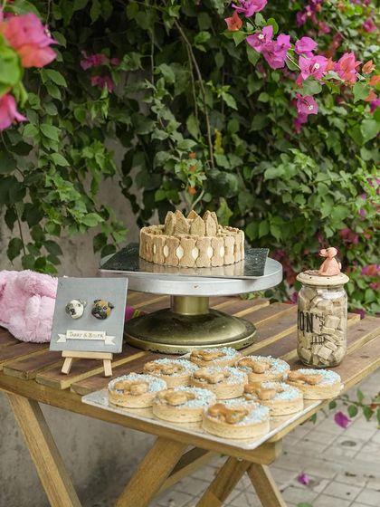 A beautiful outdoor setup showcasing our cakes, donuts, and treats. We can help you plan the perfect menu for a dog-friendly picnic or party.