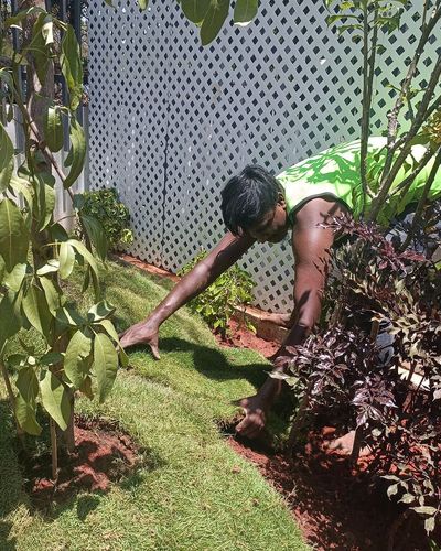 Commercial Landscaping