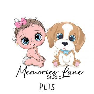 Memories Lane Studio