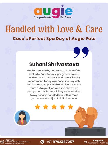 Augie Pets - Pet Grooming Services Words from Our Pawsome Community photo 8