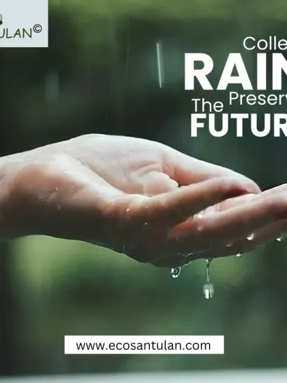 Eco Santulan - Water Management Solutions Rainwater Harvesting: The Neerain Filter Solution photo 16