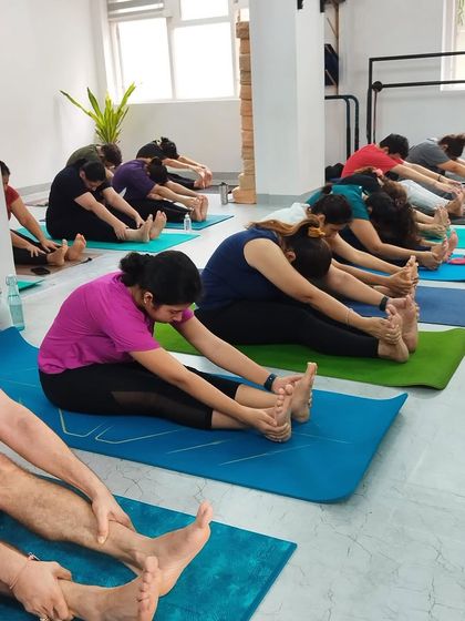 A class engaged in Paschimottanasana (Seated Forward Bend), a classic Hatha yoga pose that calms the brain and stretches the spine and hamstrings.