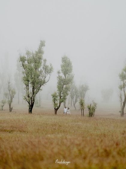 Adventures in Nature photo 24