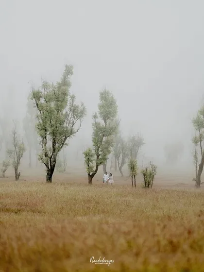 An atmospheric wide shot of a couple sitting together in a vast, misty field, creating a sense of solitude and intimacy.