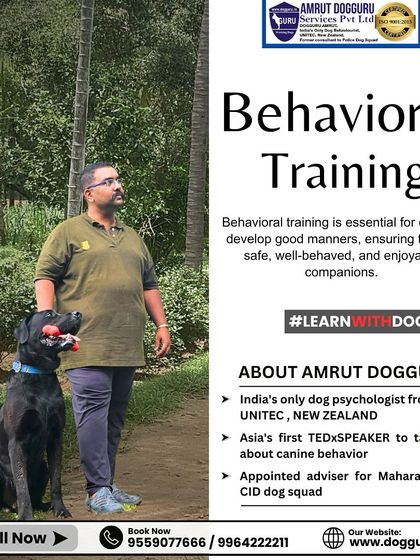 Dog Guru - Dog Behavior & Owner Consultation Training & Socialization Gallery photo 5